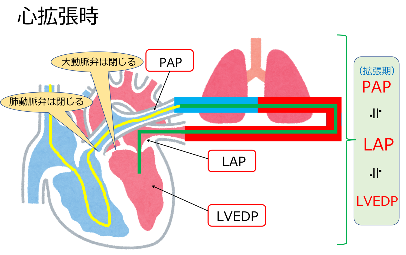 スワンガンツカテーテル治療をめぐる論争