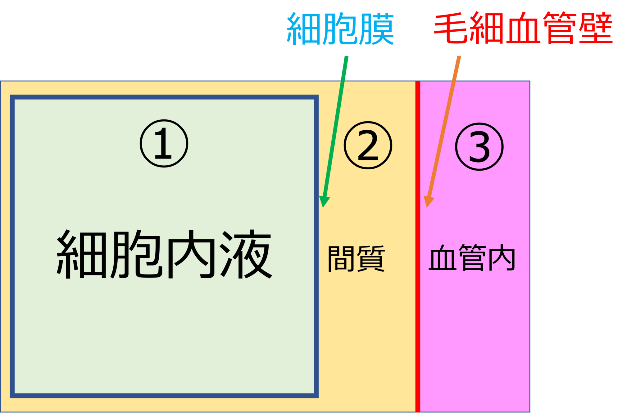 3-icu
